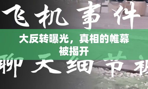 大反轉曝光，真相的帷幕被揭開