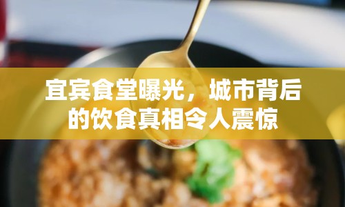 宜賓食堂曝光，城市背后的飲食真相令人震驚