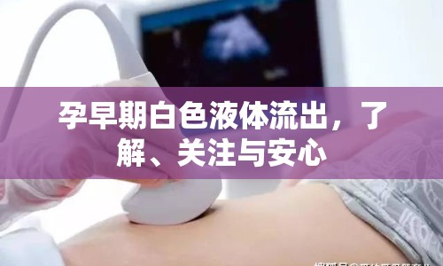 孕早期白色液體流出，了解、關(guān)注與安心