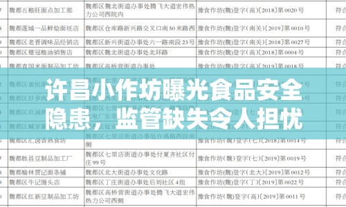許昌小作坊曝光食品安全隱患，監(jiān)管缺失令人擔(dān)憂