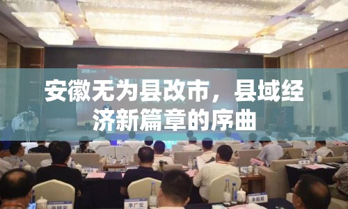 安徽無為縣改市，縣域經(jīng)濟新篇章的序曲