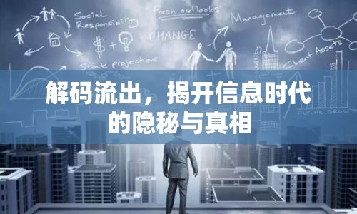 解碼流出，揭開信息時(shí)代的隱秘與真相