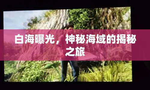 白海曝光，神秘海域的揭秘之旅