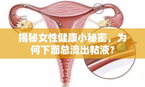 揭秘女性健康小秘密，為何下面總流出粘液？