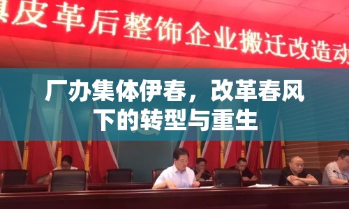 廠辦集體伊春，改革春風(fēng)下的轉(zhuǎn)型與重生