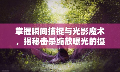 掌握瞬間捕捉與光影魔術(shù)，揭秘擊殺縮放曝光的攝影藝術(shù)