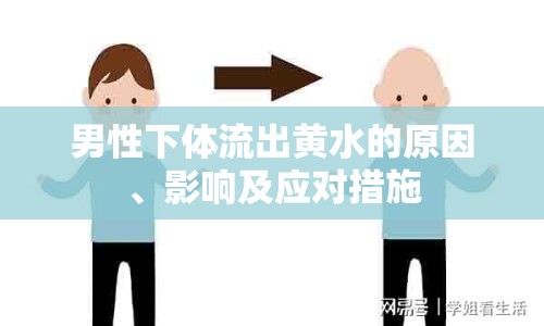 男性下體流出黃水的原因、影響及應對措施