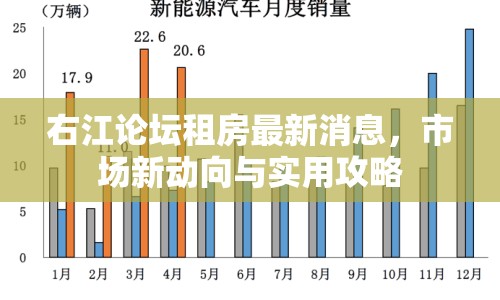 右江論壇租房最新消息，市場新動向與實用攻略