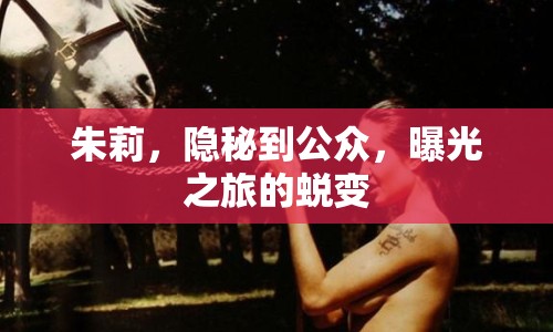 朱莉，隱秘到公眾，曝光之旅的蛻變
