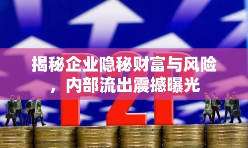 揭秘企業(yè)隱秘財富與風(fēng)險，內(nèi)部流出震撼曝光