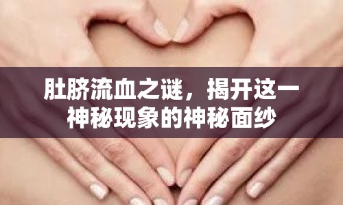 肚臍流血之謎，揭開這一神秘現(xiàn)象的神秘面紗