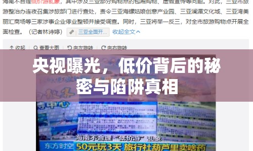 央視曝光，低價(jià)背后的秘密與陷阱真相