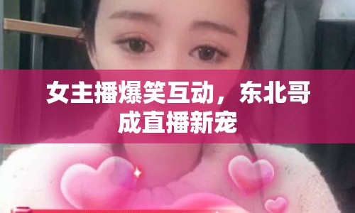女主播爆笑互動，東北哥成直播新寵