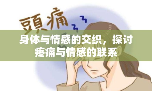 身體與情感的交織，探討疼痛與情感的聯(lián)系