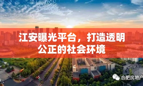 江安曝光平臺，打造透明公正的社會環(huán)境