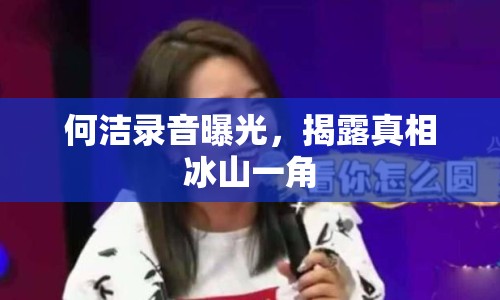 何潔錄音曝光，揭露真相冰山一角