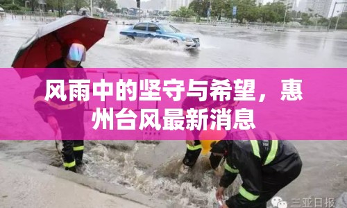 風(fēng)雨中的堅(jiān)守與希望，惠州臺(tái)風(fēng)最新消息