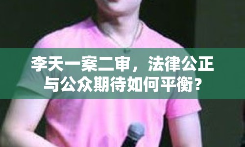 李天一案二審，法律公正與公眾期待如何平衡？