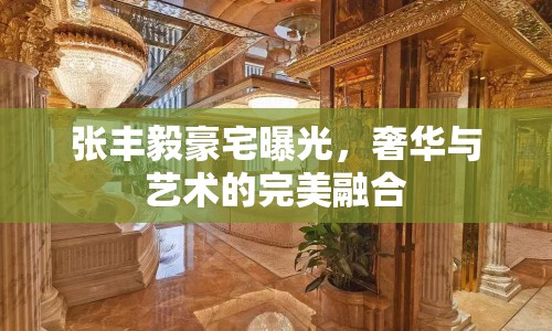 張豐毅豪宅曝光，奢華與藝術(shù)的完美融合