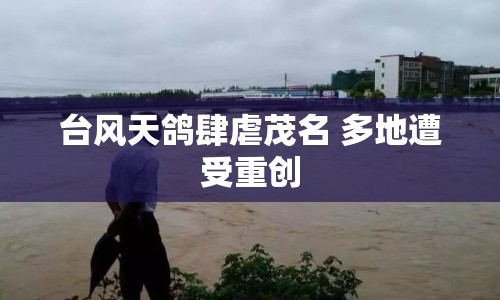 臺(tái)風(fēng)天鴿肆虐茂名 多地遭受重創(chuàng)