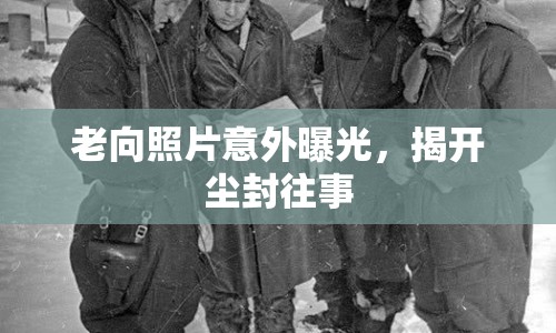 老向照片意外曝光，揭開塵封往事