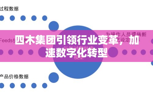四木集團(tuán)引領(lǐng)行業(yè)變革，加速數(shù)字化轉(zhuǎn)型