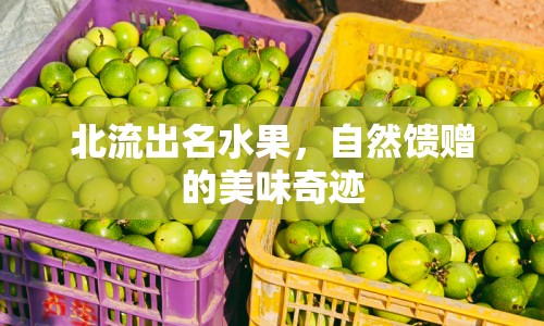 北流出名水果，自然饋贈的美味奇跡