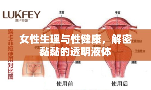 女性生理與性健康，解密黏黏的透明液體