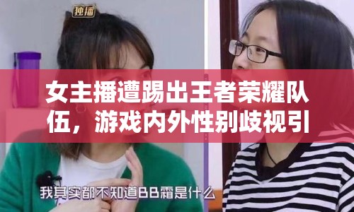 女主播遭踢出王者榮耀隊(duì)伍，游戲內(nèi)外性別歧視引熱議