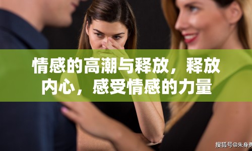 情感的高潮與釋放，釋放內心，感受情感的力量