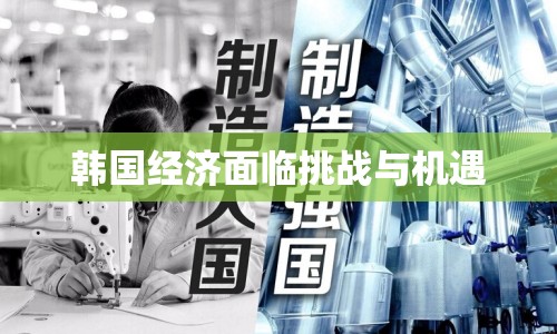 韓國經濟面臨挑戰(zhàn)與機遇