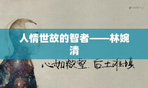 人情世故的智者——林婉清
