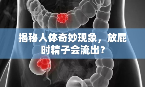 揭秘人體奇妙現(xiàn)象，放屁時(shí)精子會(huì)流出？