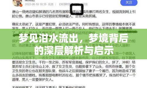 夢見泔水流出，夢境背后的深層解析與啟示
