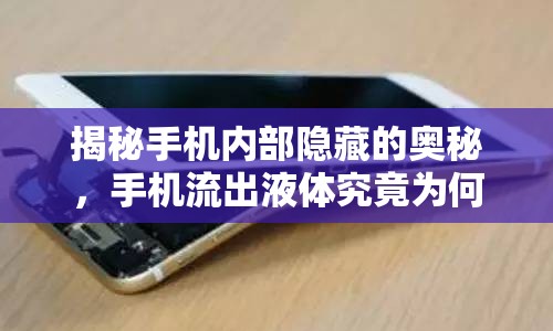 揭秘手機(jī)內(nèi)部隱藏的奧秘，手機(jī)流出液體究竟為何物？