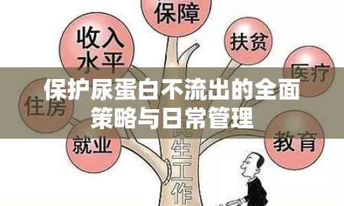 保護(hù)尿蛋白不流出的全面策略與日常管理