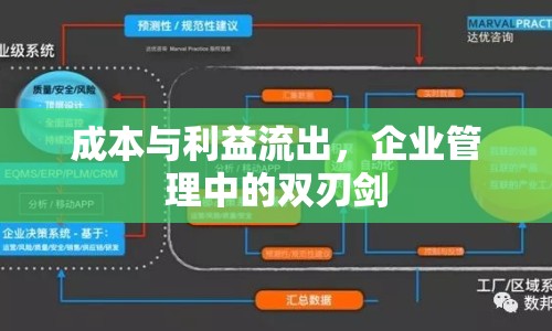 成本與利益流出，企業(yè)管理中的雙刃劍
