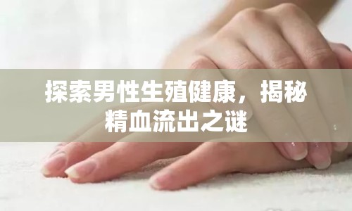 探索男性生殖健康，揭秘精血流出之謎