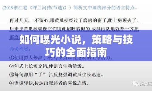 如何曝光小說，策略與技巧的全面指南
