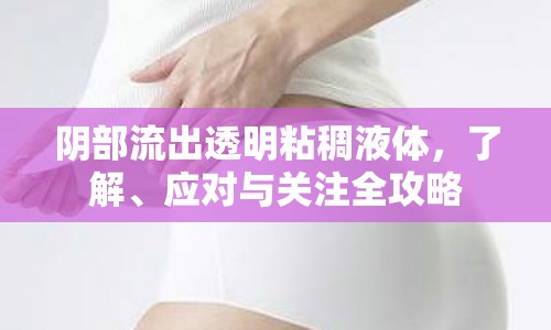 陰部流出透明粘稠液體，了解、應(yīng)對(duì)與關(guān)注全攻略