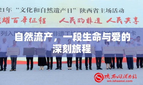 自然流產(chǎn)，一段生命與愛的深刻旅程