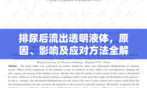 排尿后流出透明液體，原因、影響及應(yīng)對(duì)方法全解析