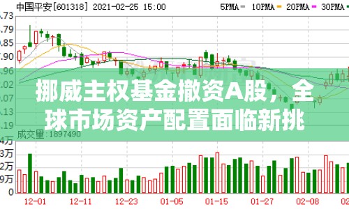 挪威主權(quán)基金撤資A股，全球市場(chǎng)資產(chǎn)配置面臨新挑戰(zhàn)