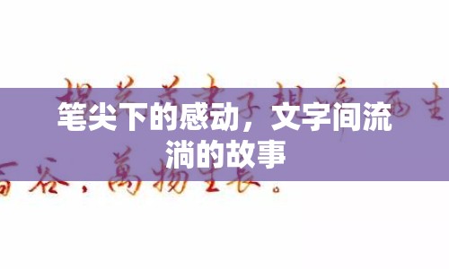 筆尖下的感動，文字間流淌的故事