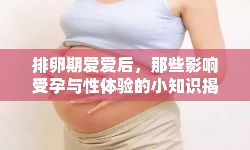 排卵期愛愛后，那些影響受孕與性體驗(yàn)的小知識(shí)揭秘