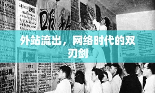 外站流出，網(wǎng)絡時代的雙刃劍