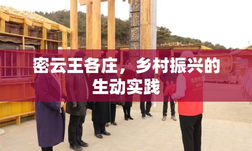 密云王各莊，鄉(xiāng)村振興的生動(dòng)實(shí)踐