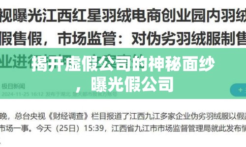 揭開(kāi)虛假公司的神秘面紗，曝光假公司