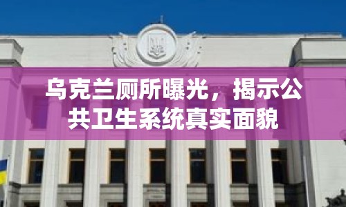 烏克蘭廁所曝光，揭示公共衛(wèi)生系統(tǒng)真實(shí)面貌
