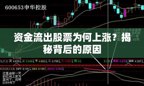 資金流出股票為何上漲？揭秘背后的原因
